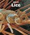 Book: Lice Patrick Merrick, Hardcover