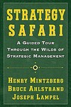 Strategy Safari by Bruce Ahlstrand, Henry Mintzberg, Joseph Lampel (2005, Paperback, Reprint)