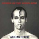 Desire of the Rhino King by Adrian Belew (CD, Nov-1991, Island Records USA)