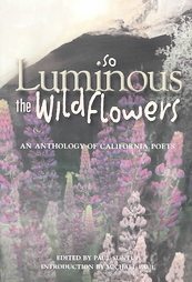 So Luminous the Wildflowers (2003, Paperback)