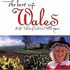 CD: The Best Of Wales (20 Tracks Of Traditional Welsh Music) Various Artists, 1996