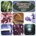 CD: Library of Sounds - Sound Effects