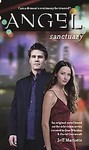 angel sanctuary by Jeff Mariotte (2003, Paperback)