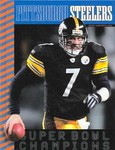Pittsburgh Steelers by Nate LeBoutillier (2005, Reinforced Hardcover)