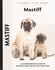 Book: Mastiff Christina De-Lima-Netto, Hardcover