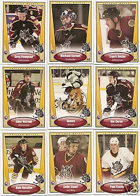 2004 05 Chicago Wolves Libor Ustrnul  