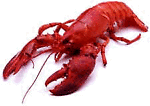 ericthelobster