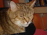 marie196767