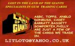 lost_in_the_land_of_the_giants
