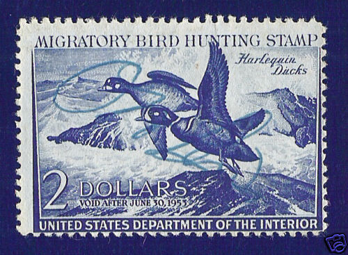 RW19 Duck Hunting Permit Stamp Harlequin Ducks  