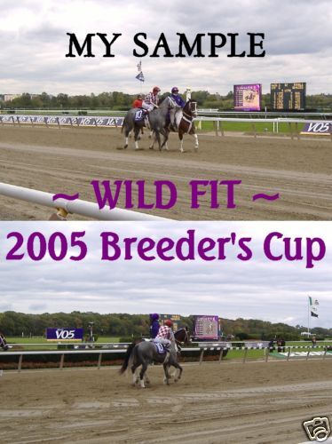 WILD FIT HORSE RACE 2005 BREEDERS CUP COLLAGE PHOTO  