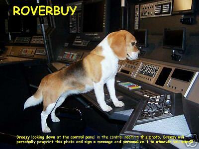 Star Trek Beagle, Breezy (Porthos) Ships Control Panel  