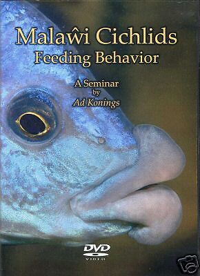 Malawi Cichlids Feeding Behavior – A DVD by Ad Konings 718122061129 