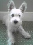 eddie.mellin