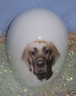 Great Dane Uncropped Dog Porcelain Egg Fired Decal  