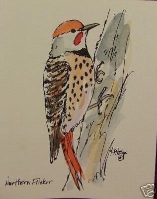 NORTHERN FLICKER BACKYARD BIRD NOTE CARD WATERCOLOR  