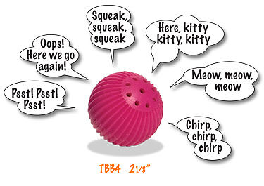 Kitty Babble Ball_Interactive Cat Toy that TALKS  