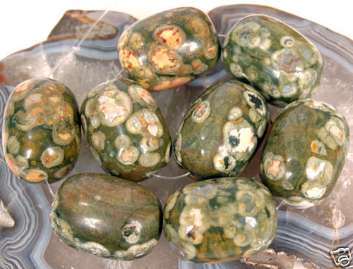 18x25mm Natural A++ Rhyolite Barrel Beads 8pcs  