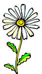 daisy-boutique